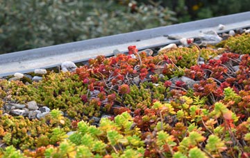 the cost of Wimpstone green roof installation