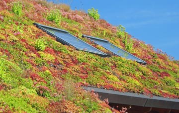 Wimpstone living roof systems